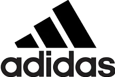Partner 6